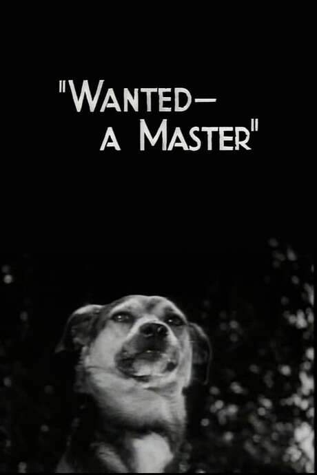 Wanted - A Master